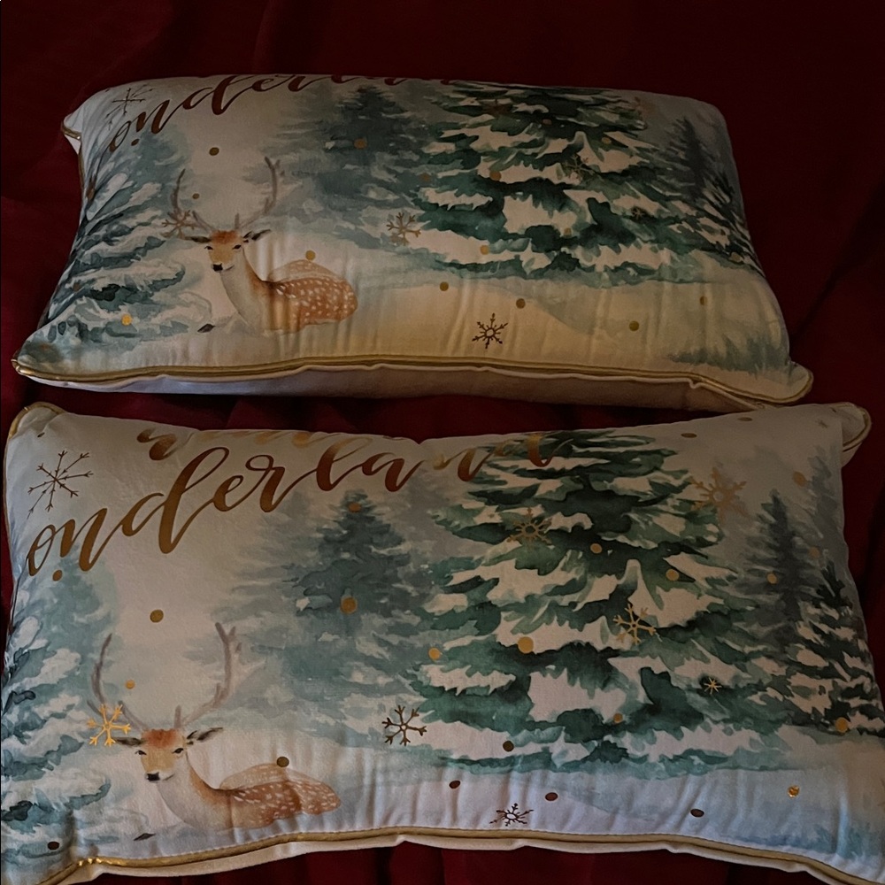 Winter Wonderland Velvet Pillows – Pair 🎄